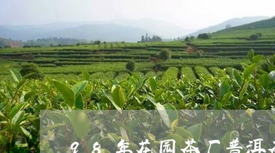 98年花园茶厂普洱茶/2023100738101