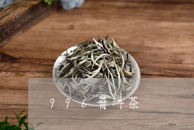 996普洱茶/2023042895213