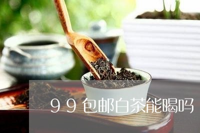 99包邮白茶能喝吗/2023071409462