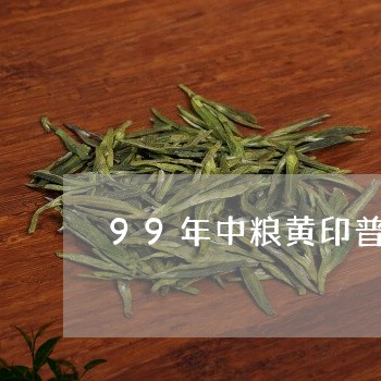 99年中粮黄印普洱茶/2023092620695