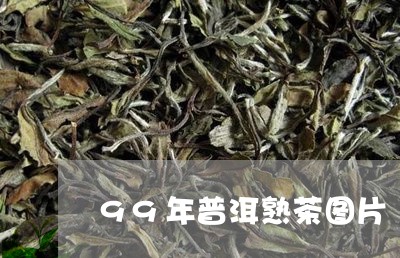 99年普洱熟茶图片/2023042795071