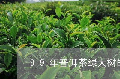 99年普洱茶绿大树的价格/2023112815827