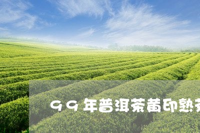 99年普洱茶黄印熟茶/2023100561493