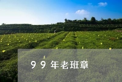 99年老班章/2023090771828