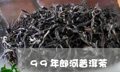 99年郎河普洱茶/2023082889380