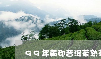 99年黄印普洱茶熟茶/2023061419595