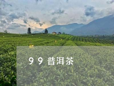 99普洱茶/2023090650560