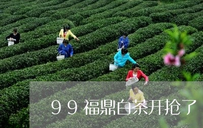 99福鼎白茶开抢了/2023111783815