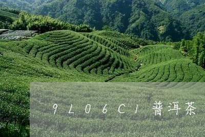 9L06C1普洱茶/2023070956249