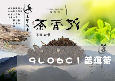 9L06C1普洱茶/2023091585149