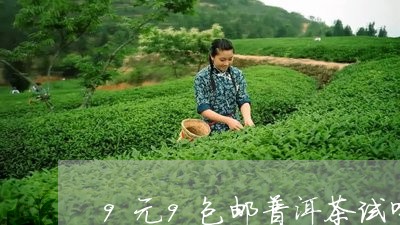 9元9包邮普洱茶试喝/2023072277191