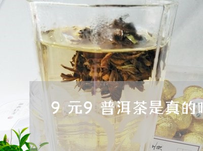 9元9普洱茶是真的吗/2023061648461