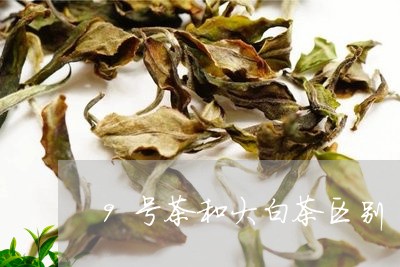 9号茶和大白茶区别/2023121536168