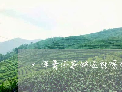 9年普洱茶饼还能喝吗/2023093072525