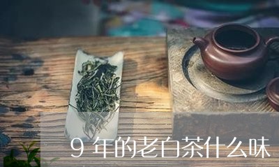 9年的老白茶什么味/2023121568403