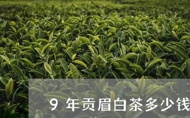 9年贡眉白茶多少钱一斤/2023092593948