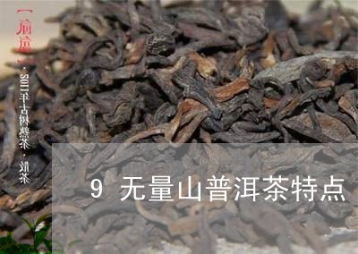 9无量山普洱茶特点/2023100695959