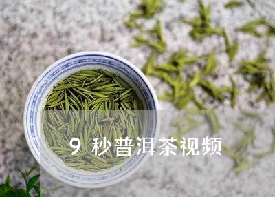 9秒普洱茶视频/2023101687369