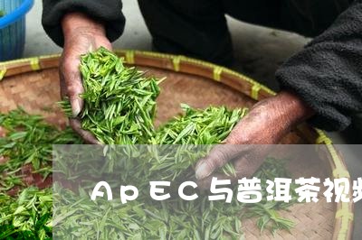 ApEC与普洱茶视频/2023062894136