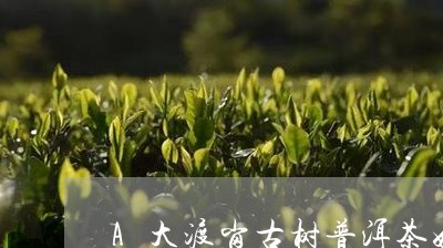 A大渡岗古树普洱茶好不好/2023051323946