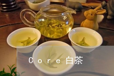 Core白茶/2023051247493