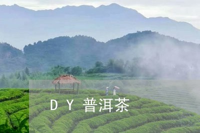 DY普洱茶/2023090560390