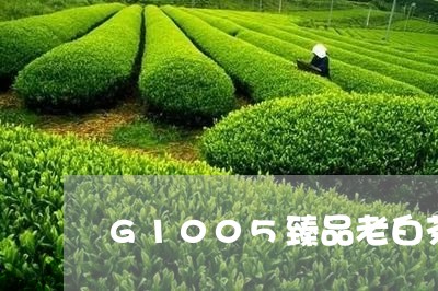 G1005臻品老白茶/2023092713249