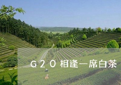 G20相逢一席白茶/2023121502626