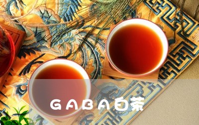 GABA白茶/2023051258414