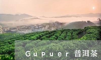 Gupuer普洱茶/2023070961705