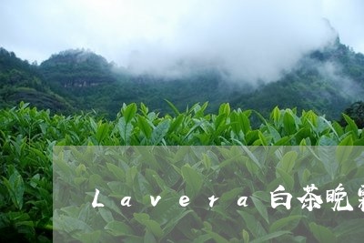 Lavera白茶晚霜/2023092738269