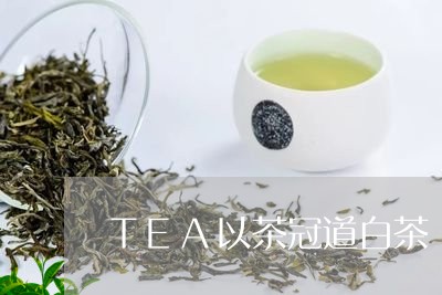 TEA以茶冠道白茶/2023121665160