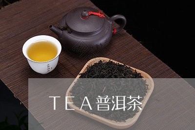 TEA普洱茶/2023042825564