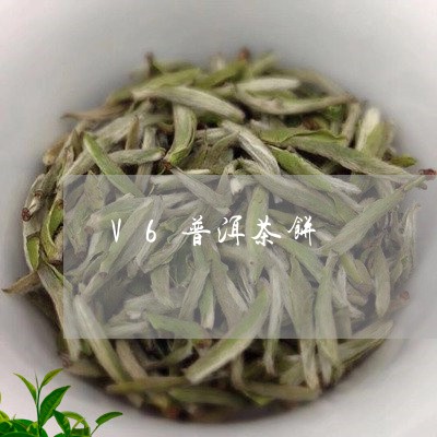 V6普洱茶饼/2023090641503