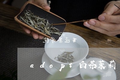 adopt白茶茉莉/2023071404049