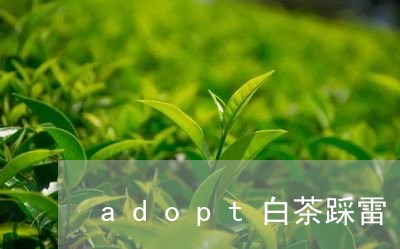 adopt白茶踩雷/2023121647462