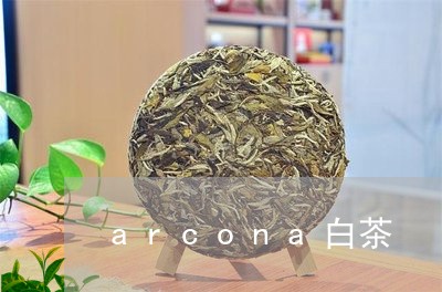 arcona白茶/2023061493947