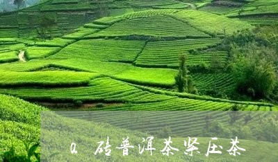 a砖普洱茶紧压茶/2023120326138