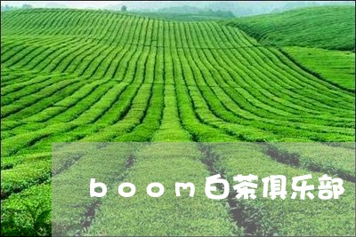 boom白茶俱乐部/2023121662514