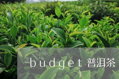 budget普洱茶/2023070916361