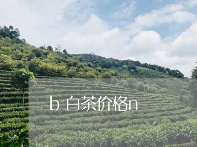 b白茶价格n/2023051258604