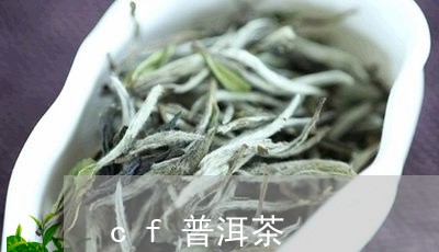 cf普洱茶/2023090535149