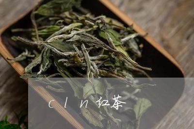 cln红茶/2023090296149