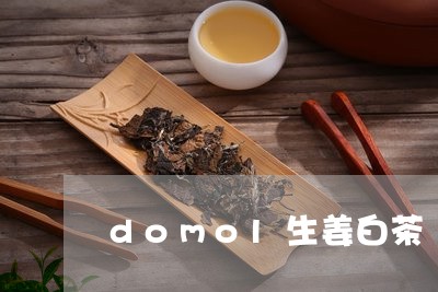 domol生姜白茶/2023121682494