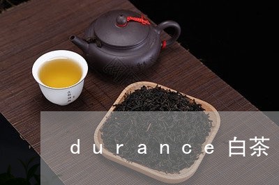 durance白茶/2023121693638