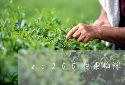 es200白茶柏棕/2023121378793