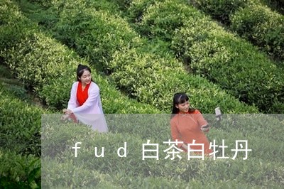 fud白茶白牡丹/2023061459616