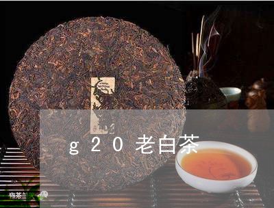 g20老白茶/2023073193038