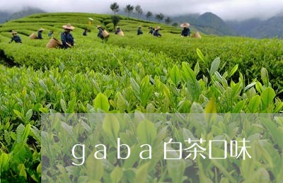 gaba白茶口味/2023061438684