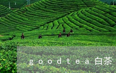 goodtea白茶/2023121650636